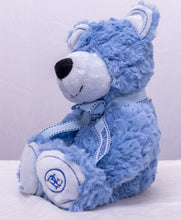 Load image into Gallery viewer, The Polar Express Teddy Bear Blue Plush
